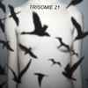 Trisomie 21 - Don't You Hear?