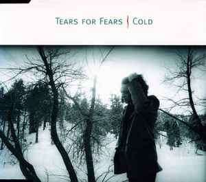 Tears For Fear Woman in Chains Cd Single 4 Tracks Very Good + Condition
