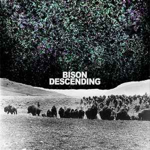 Bison Squad - Bison Descending album cover