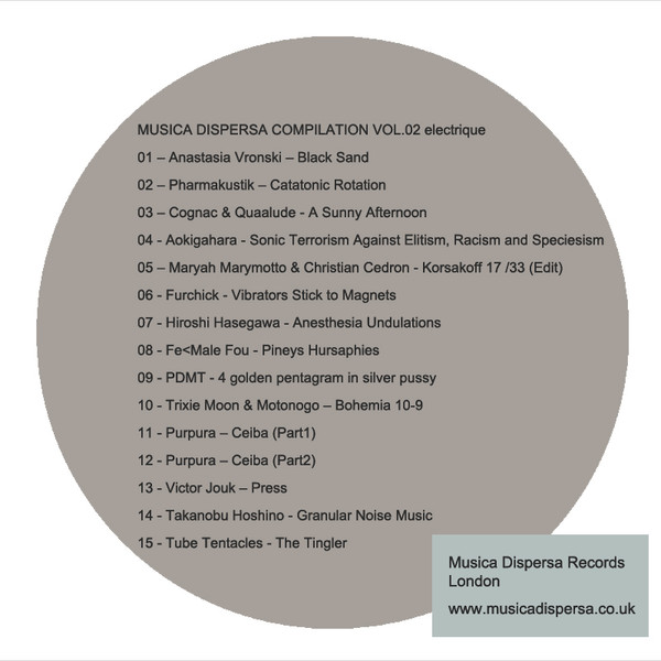 télécharger l'album Various - Musica Dispersa 02 Electrique Compilation