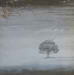 Cover of Wind & Wuthering, 1976, Vinyl