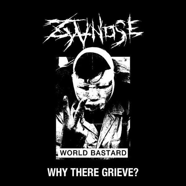 Zyanose – Why There Grieve? (2013, Vinyl) - Discogs