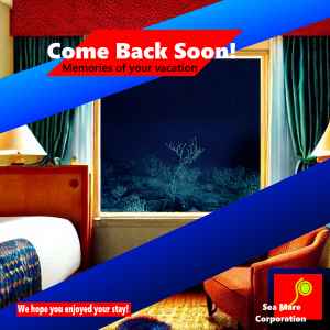 Sea Mare Corporation - Come Back Soon!: Memories Of Your Vacation. album cover