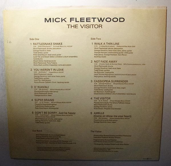 ladda ner album Mick Fleetwood - The Visitor