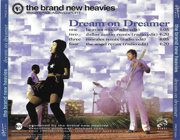 The Brand New Heavies Featuring N'Dea Davenport – Dream On Dreamer