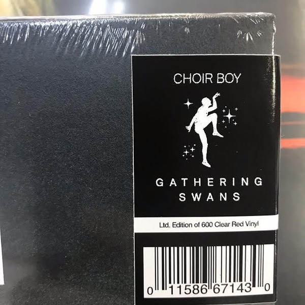 Choir Boy – Gathering Swans (2021, Red Clear, Vinyl) - Discogs