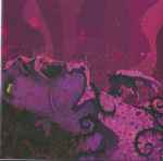 Incarna – Spires Deceased (2007, CD) - Discogs