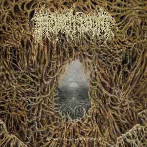 Mortiferum - Disgorged From Psychotic Depths album cover