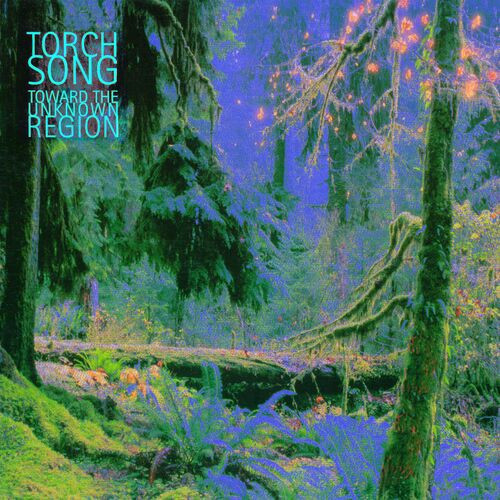 Torch Song トーチ ソング William Orbit Toward The Unknown Region ドイツ盤CD ウィリアム オービット