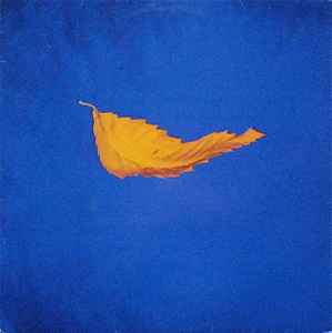 New Order - True Faith album cover