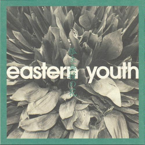 Eastern Youth – 孤立無援の花 (1997, CD) - Discogs