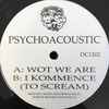 Psychoacoustic (3) - Wot We Are / I Kommence (To Scream)