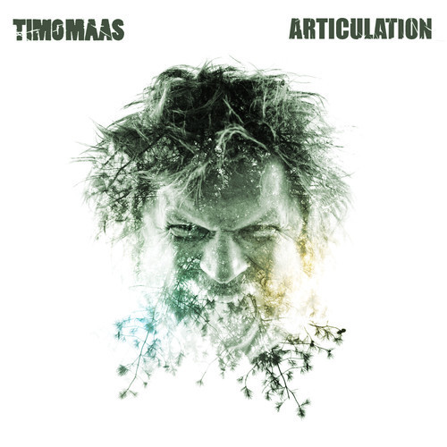 Album herunterladen Timo Maas - Articulation