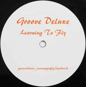 Learning To Fly (Vinyl, 12