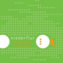 Album herunterladen Niederflur - Bipolar Remixes Part I