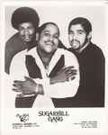 Album herunterladen Sugarhill Gang - Best of the Sugarhill Gang