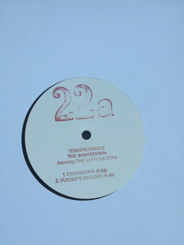 descargar álbum Tenderlonious featuring The 22archestra - The Shakedown