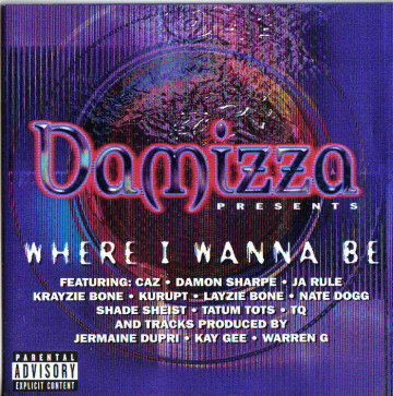 baixar álbum Damizza Presents Various - Where I Wanna Be