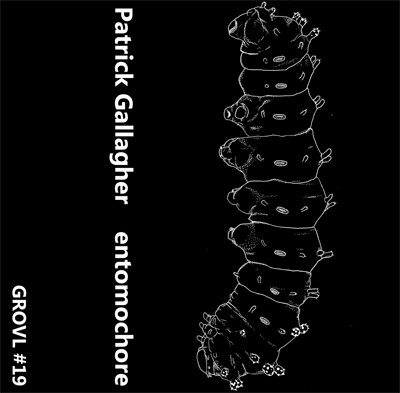 last ned album Patrick Gallagher - Entomochore