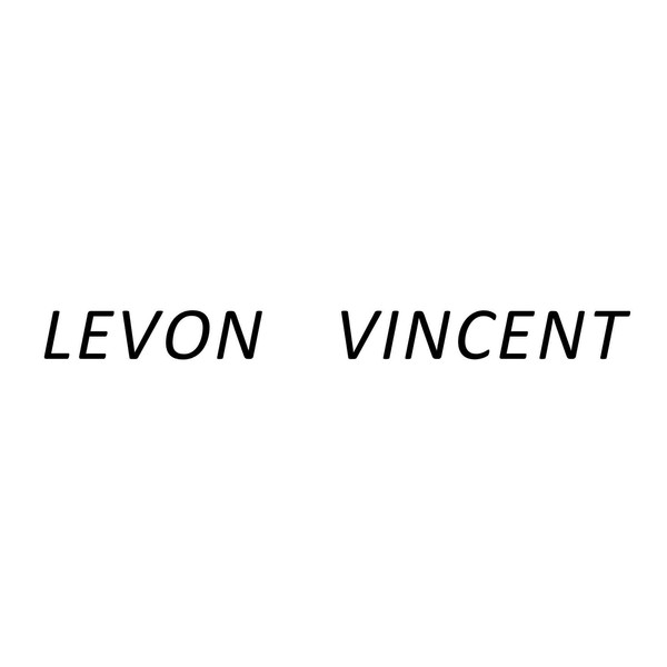 Levon Vincent – Levon Vincent (2015, Vinyl) - Discogs