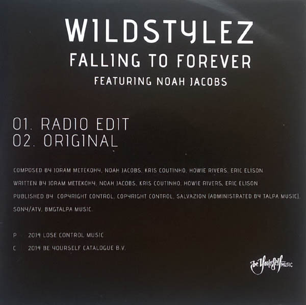 lataa albumi Wildstylez Feat Noah Jacobs - Falling To Forever