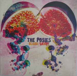 The Posies – Nice Cheekbones And A Ph.D. (2001, Vinyl) - Discogs