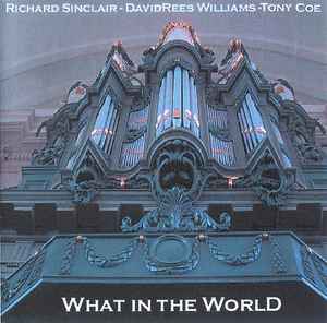 Richard Sinclair - What In The World album cover