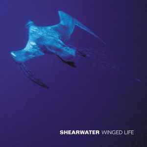 Winged Life - Shearwater
