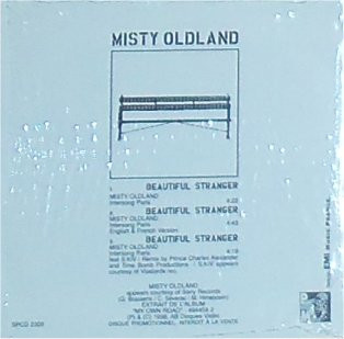 baixar álbum Misty Oldland - Beautiful Stranger