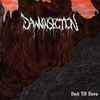 Dawninsection - Dusk Till Dawn