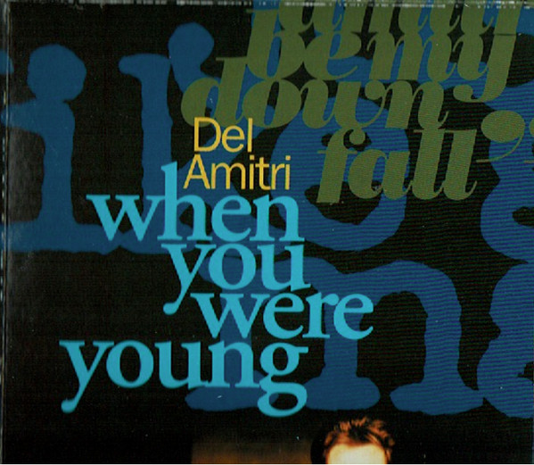 Album herunterladen Del Amitri - When You Were Young