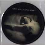 Cover of Love Will Tear Us Apart, 2005, Vinyl