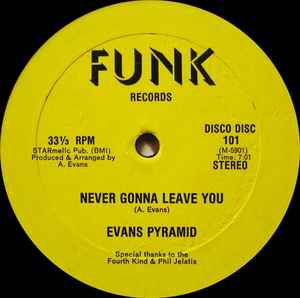 Never Gonna Leave You / The Dip Drop - Evans Pyramid