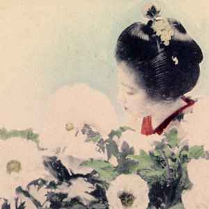 Secede - Silent Flower Observers album cover