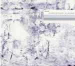 Cover of Valis, 2002-02-11, CD