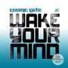 Cosmic Gate - Wake Your Mind - The Extended Mixes