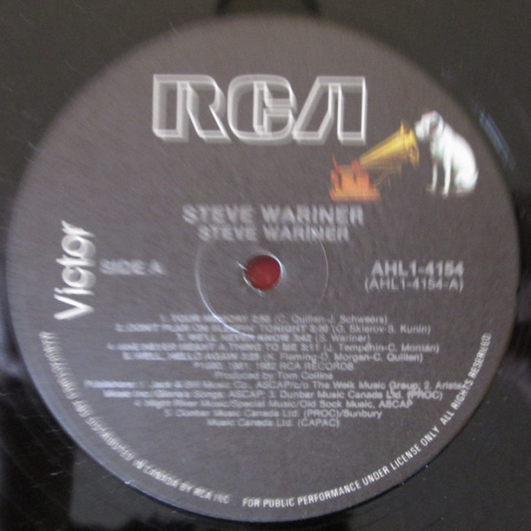 last ned album Steve Wariner - Steve Wariner