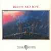 Buddy Red Bow - Journey To The Spirit World (Wica Nagi Makoce Ekta Oicimani Wan)