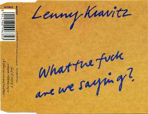 What The Fuck Are We Saying? - Lenny Kravitz