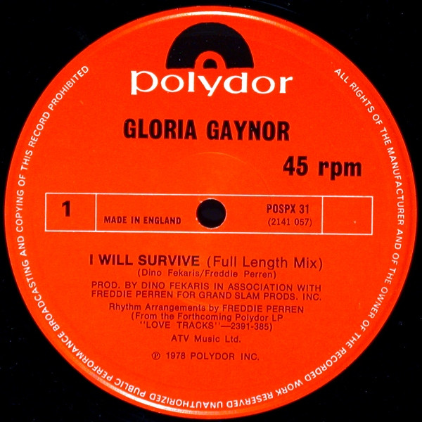 Gloria Gaynor – I Survive Mix) Vinyl) - Discogs