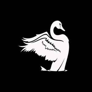 Portada de album Ticco Ross - Black Swan Event