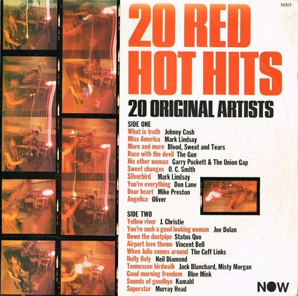 descargar álbum Download Various - 20 Red Hot Hits album