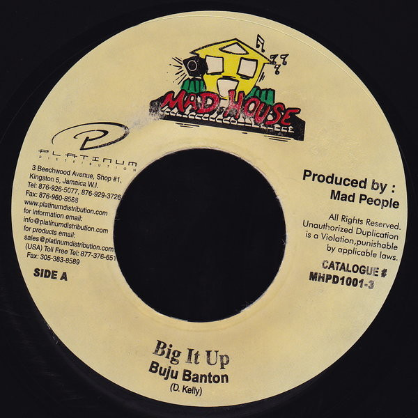 Album herunterladen Buju Banton - Big It up