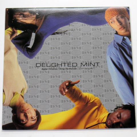 Delighted Mint – Higher Elevation / Along The Bayside (Giant Swang