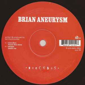 Brian Aneurysm - Succubus album cover