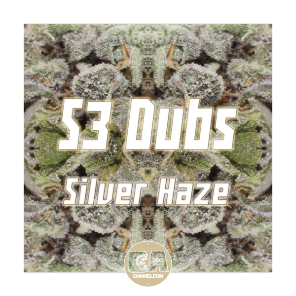 descargar álbum S3 Dubs - Silver Haze EP