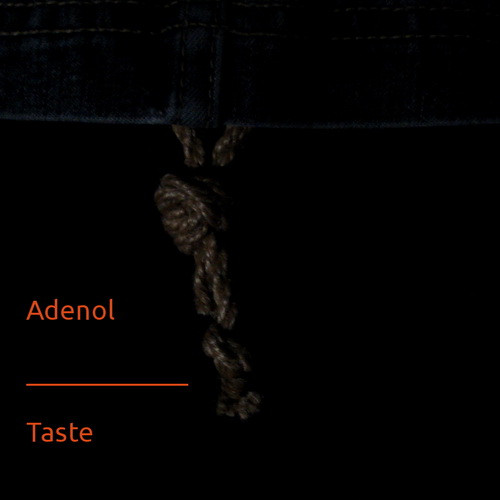 baixar álbum Adenol - Taste