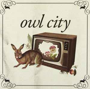 Owl City – Fireflies / Vanilla Twilight (2010, Transparent, Vinyl 