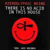 Hieroglyphic Being - There Is No Acid In This House