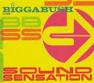 Bigga Bush - Sound Sensation album cover